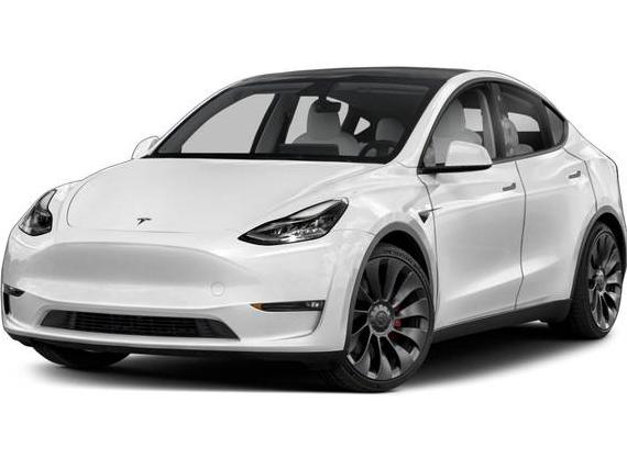 TESLA MODEL Y 2023 7SAYGDEE1PA163052 image